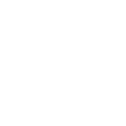 Voltage Lingerie